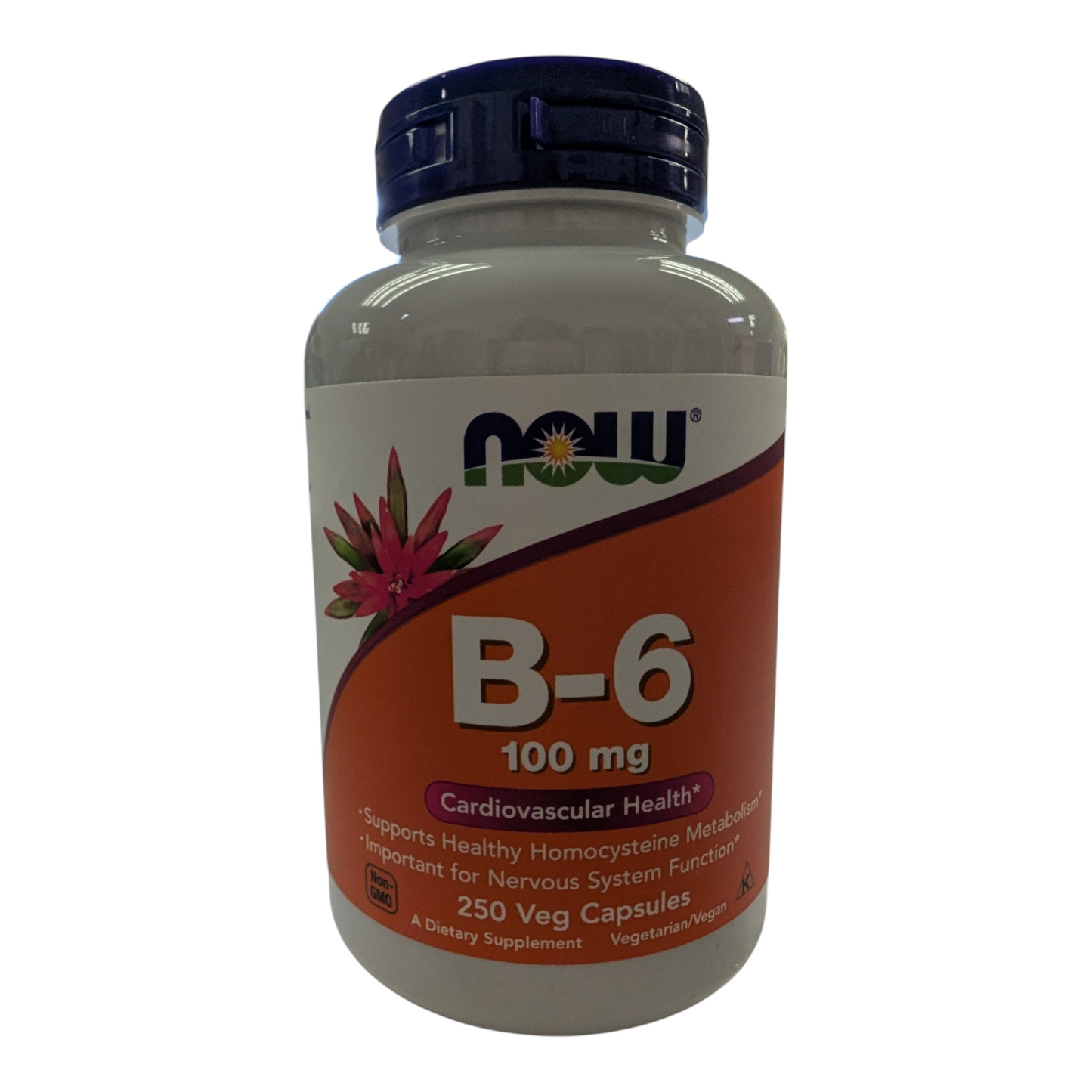 B-6 250 Veg Capsules