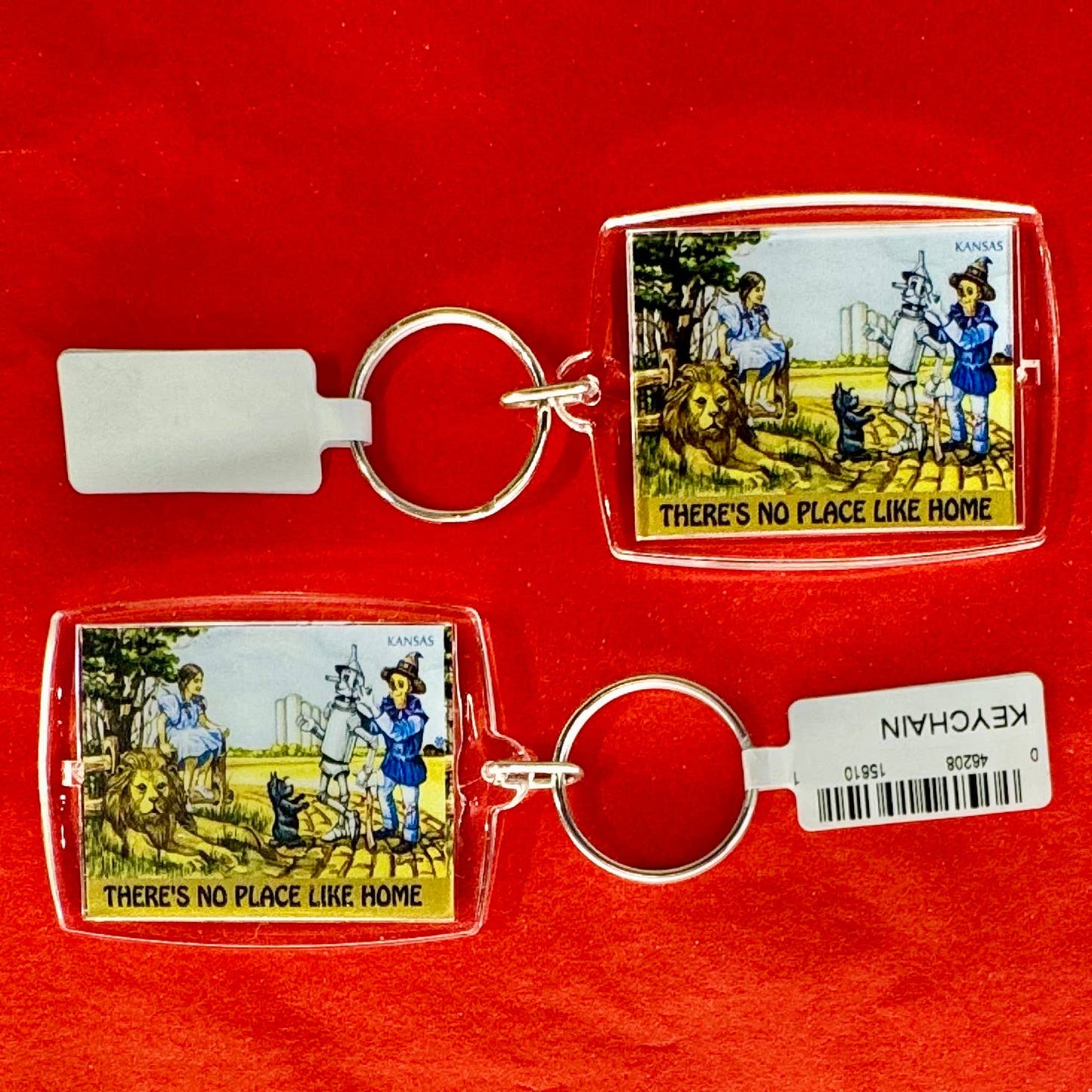 There's No Place Like Home Keychain