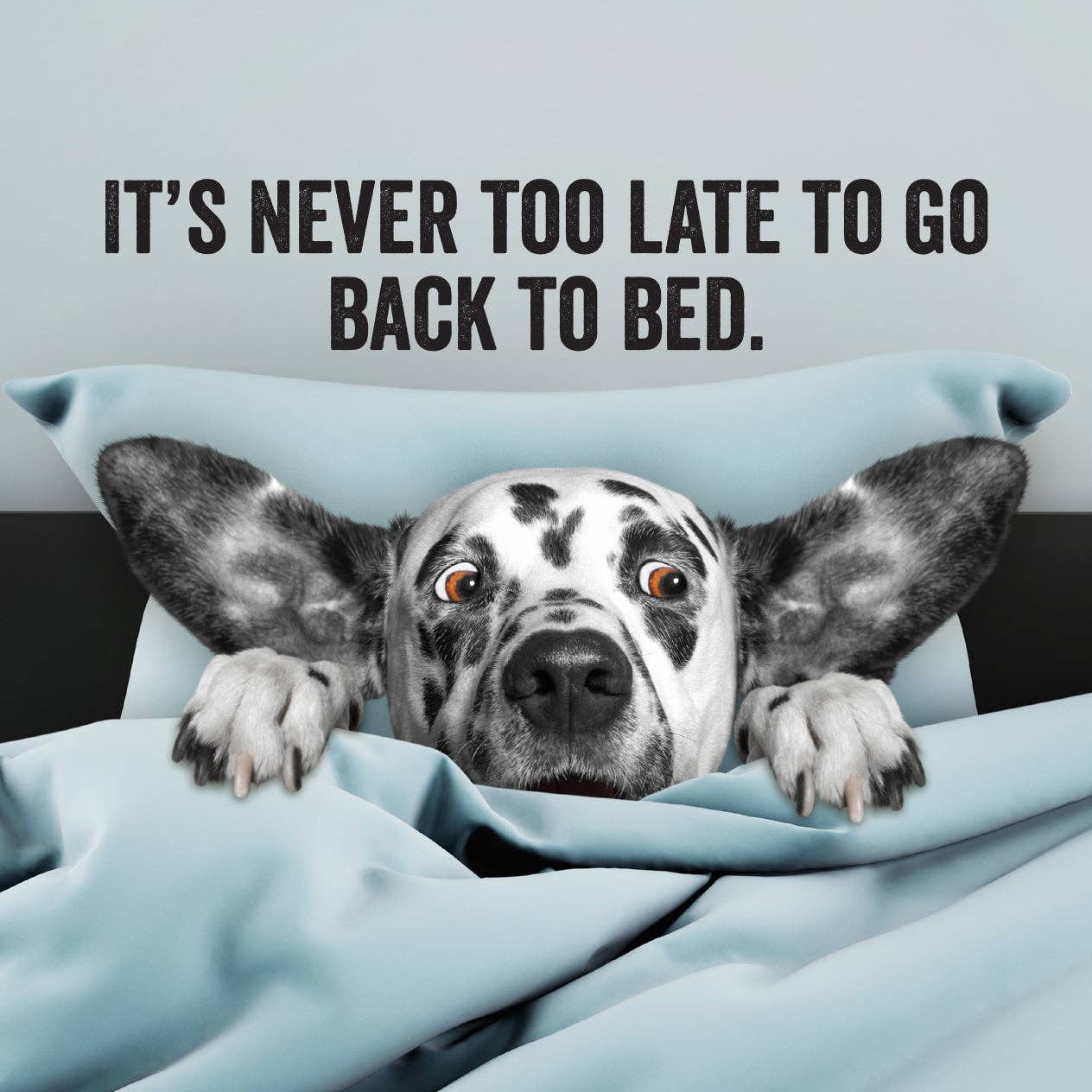 Every Flipping Day Desktop Flipbook