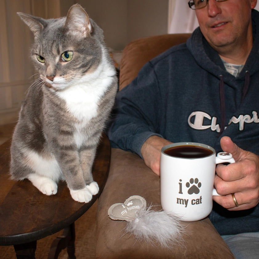 “I ♥ My Cat” Mug & Cat Toy Gift Set – 18oz