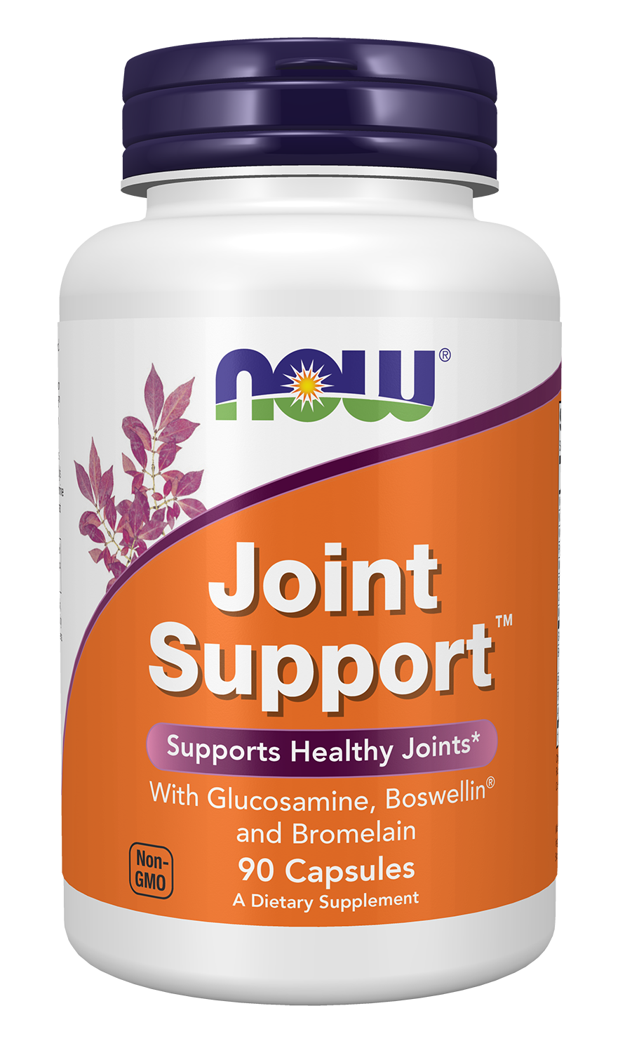 Joint Support 90 Capsules