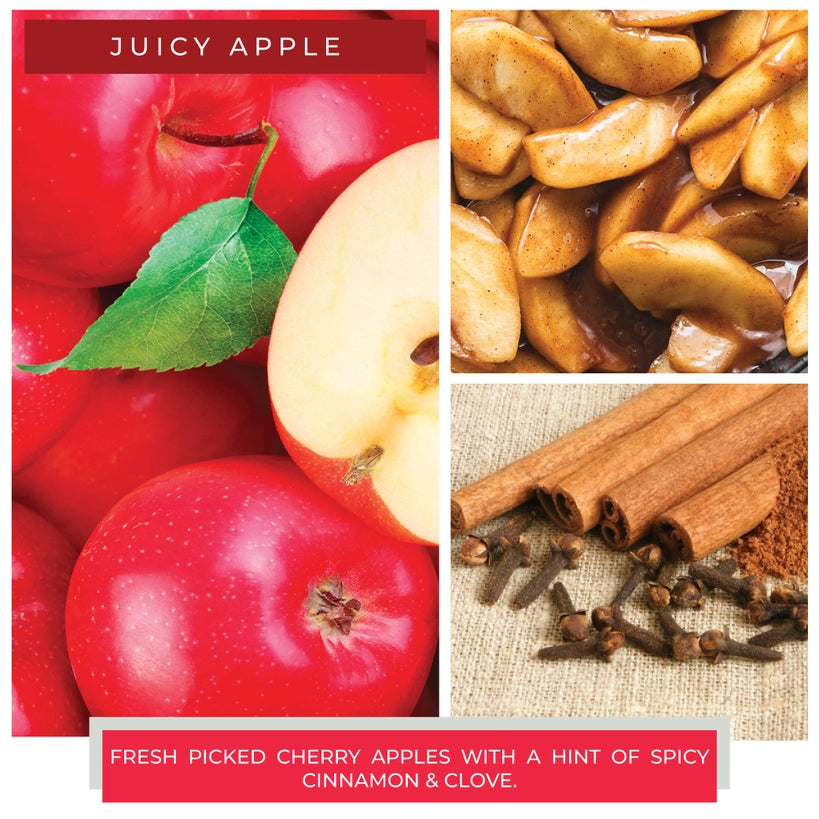 Cheerful Giver Papa Candle – Juicy Apple