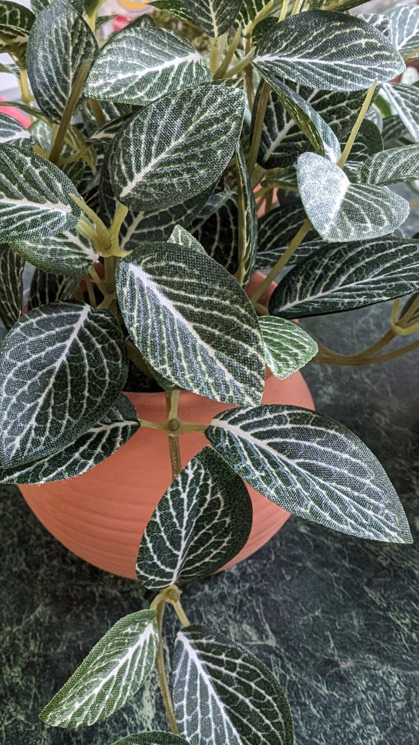 7" H Potted Trailing Greenery