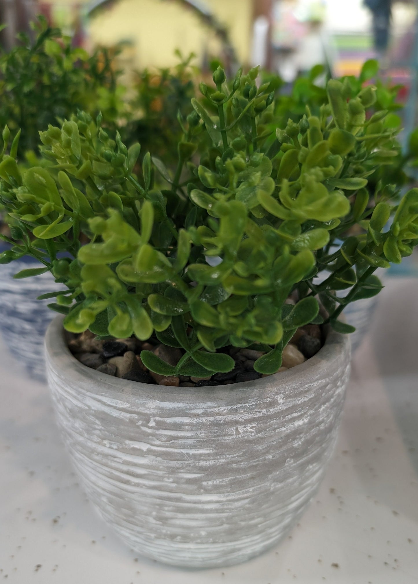 7” Ceramic Potted Greenery