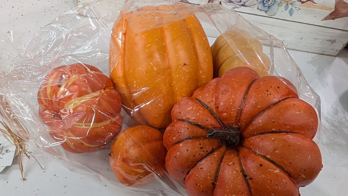 Orange Mix Pumpkin Set - Fall Mix