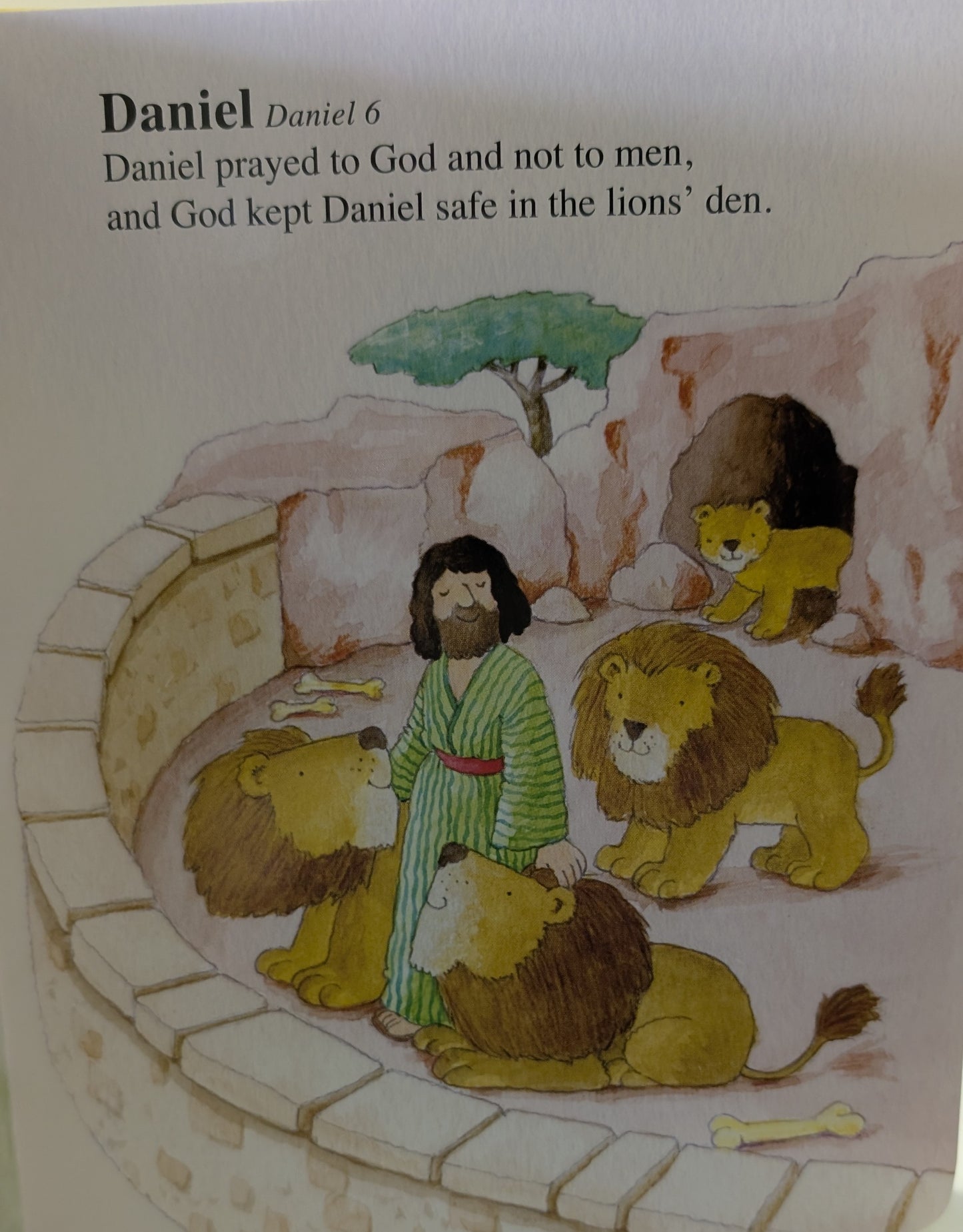 Catholic Baby's First Bible