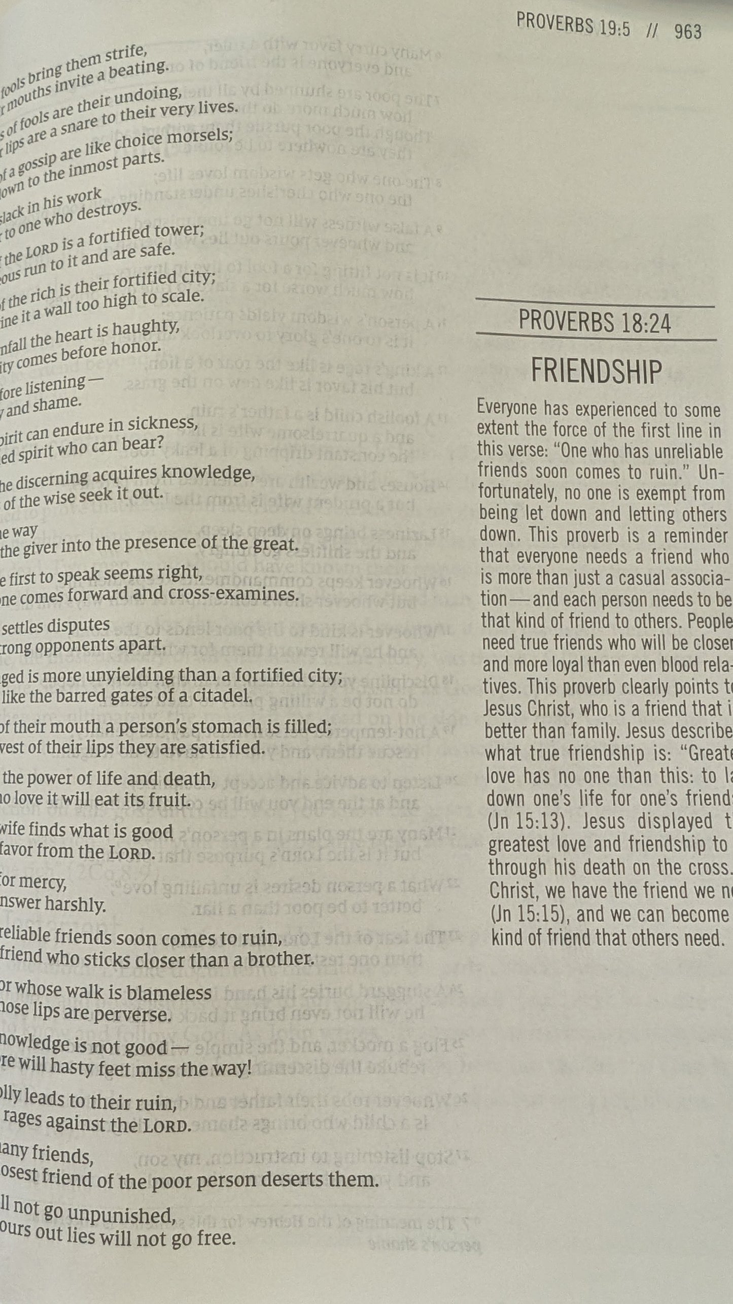 The Jesus Bible - NIV- Blush Pink Leathersoft over Board
