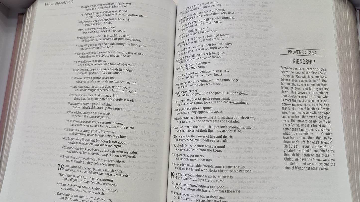 The Jesus Bible - NIV- Blush Pink Leathersoft over Board