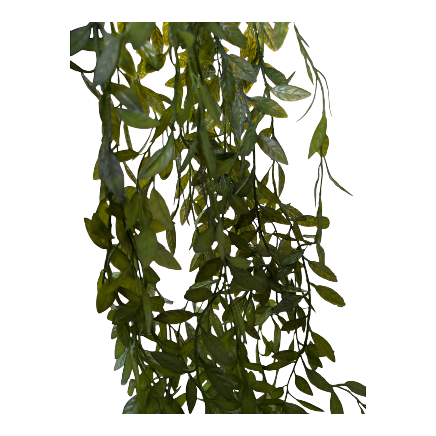 47" Ruscus Floral Pick