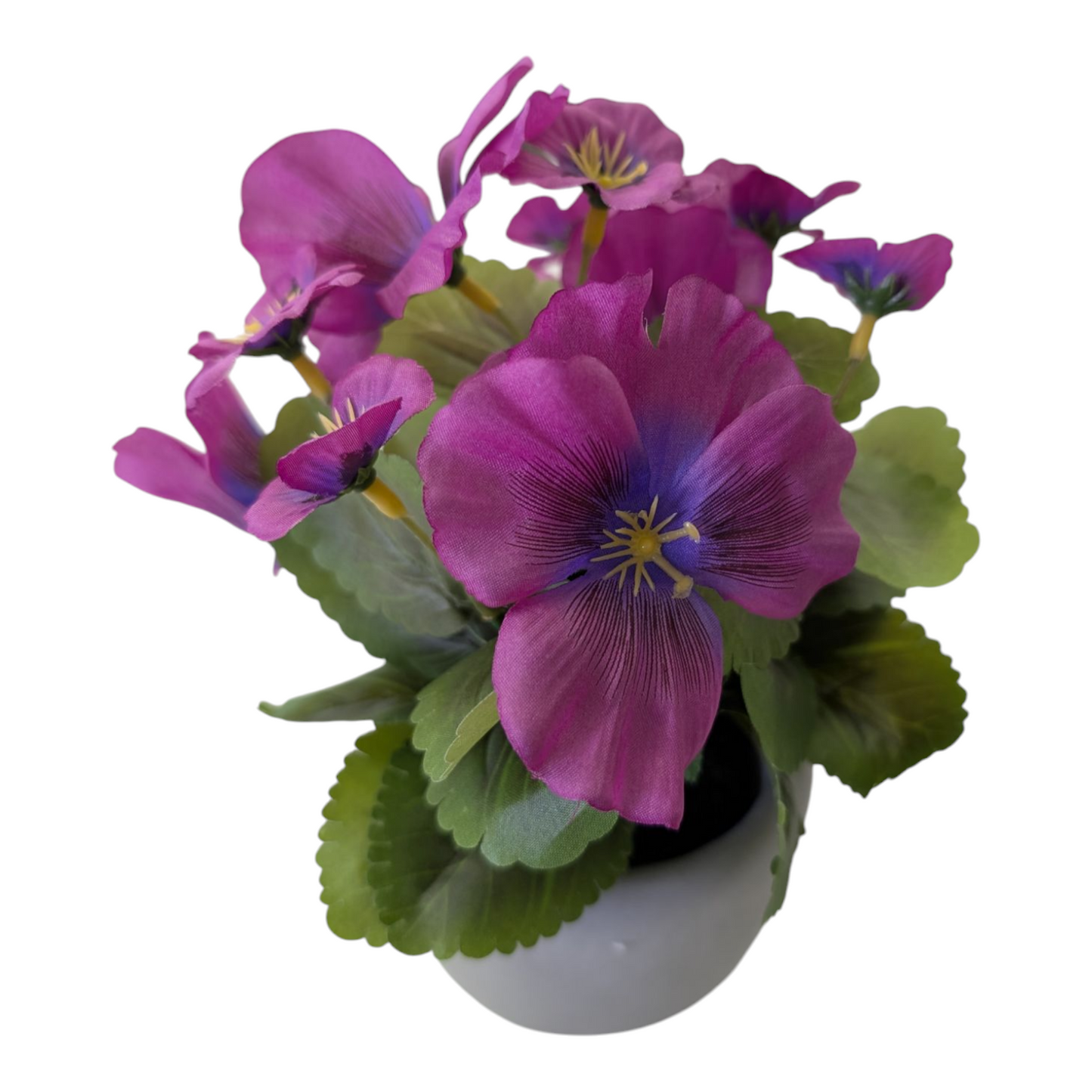 8.6" Pansy in Cement Pot