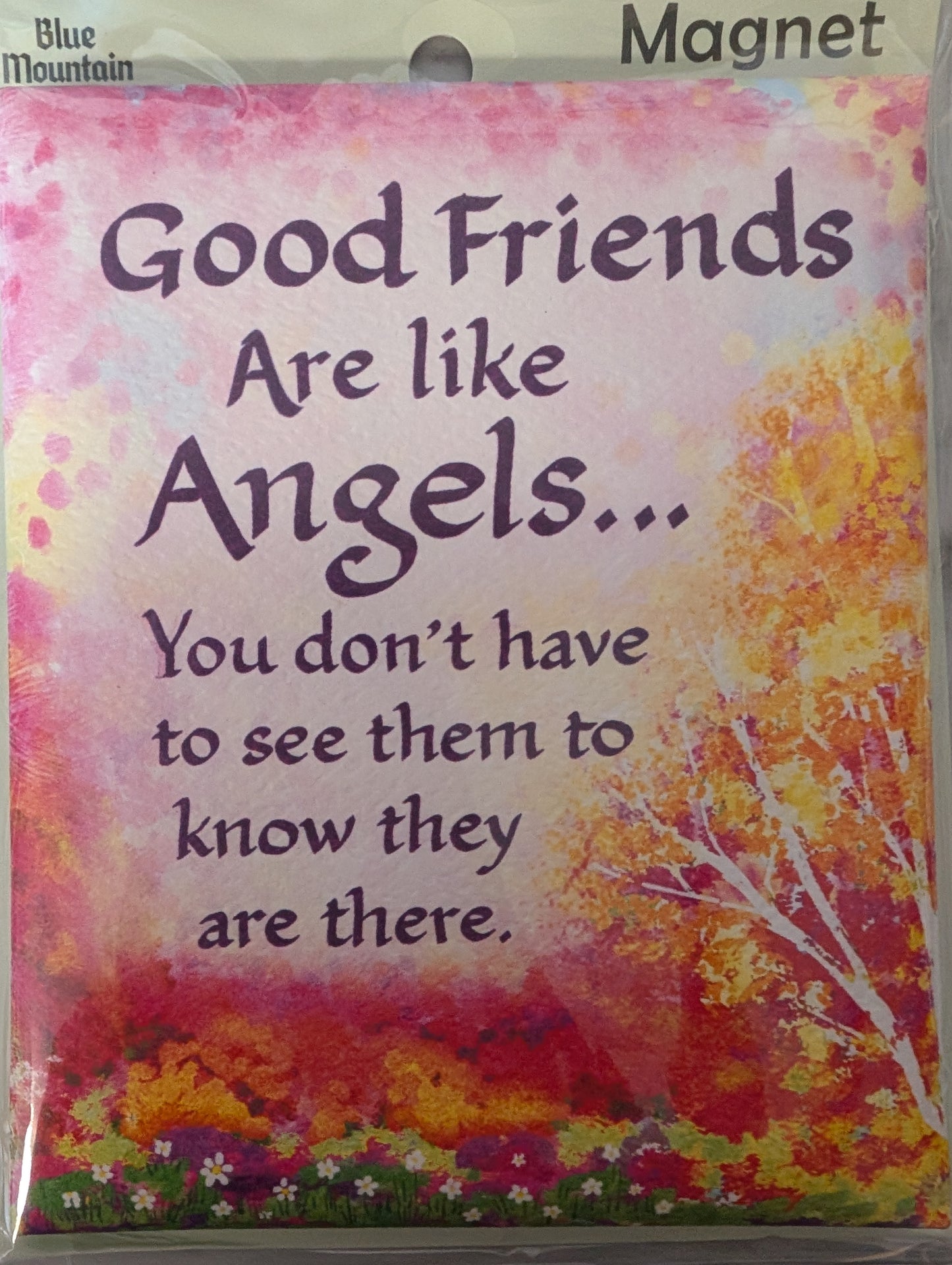 Good Friends Are Like Angels Magnet