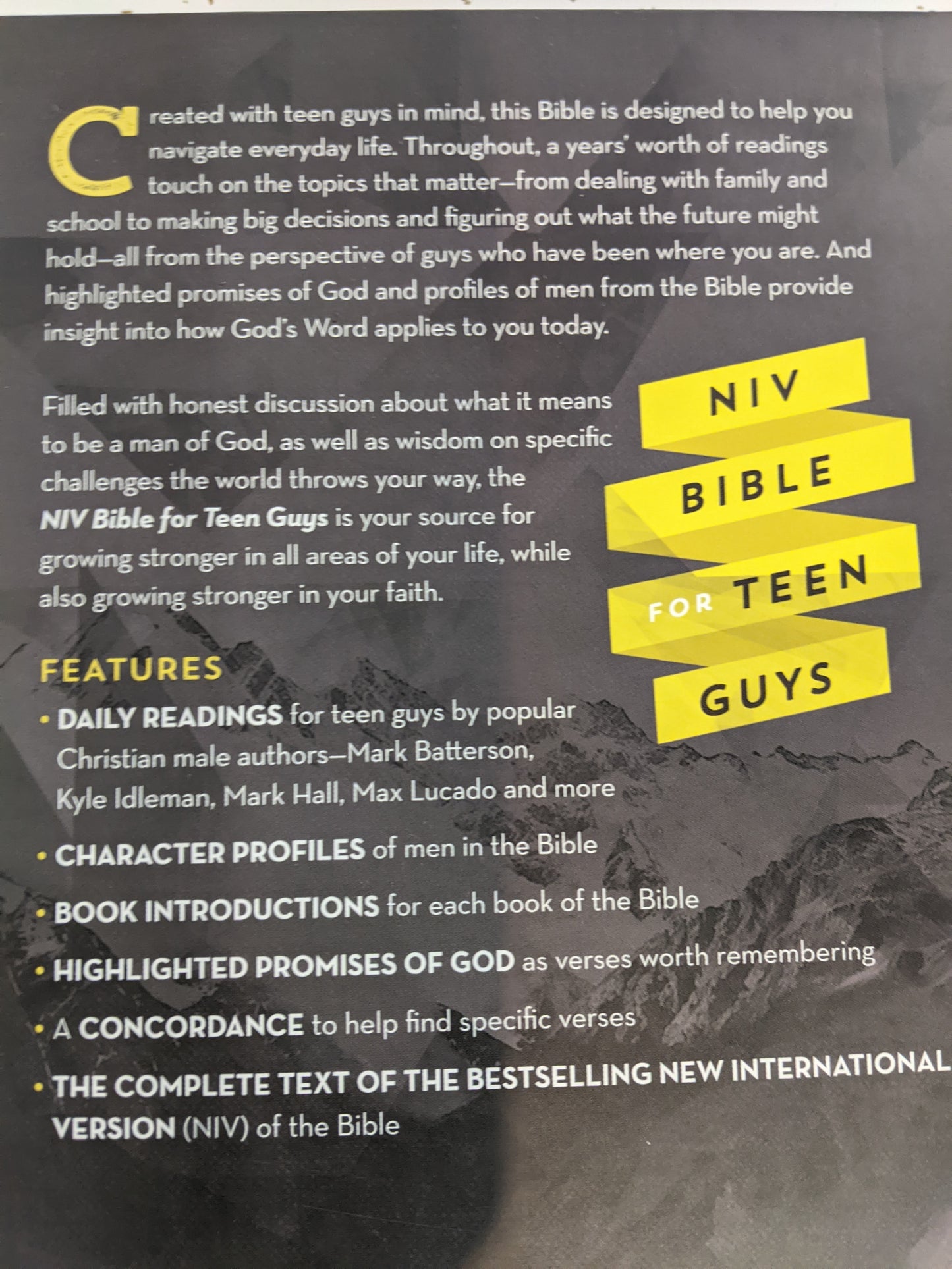 NIV Bible for Teen Guys