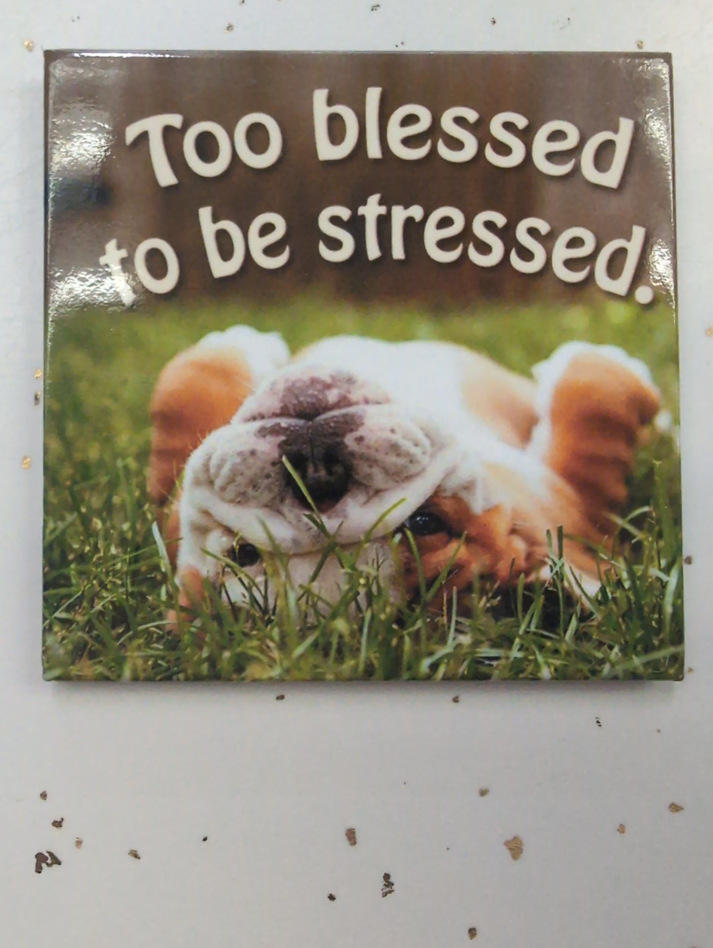 Magnet - Too Blessed to be stressed