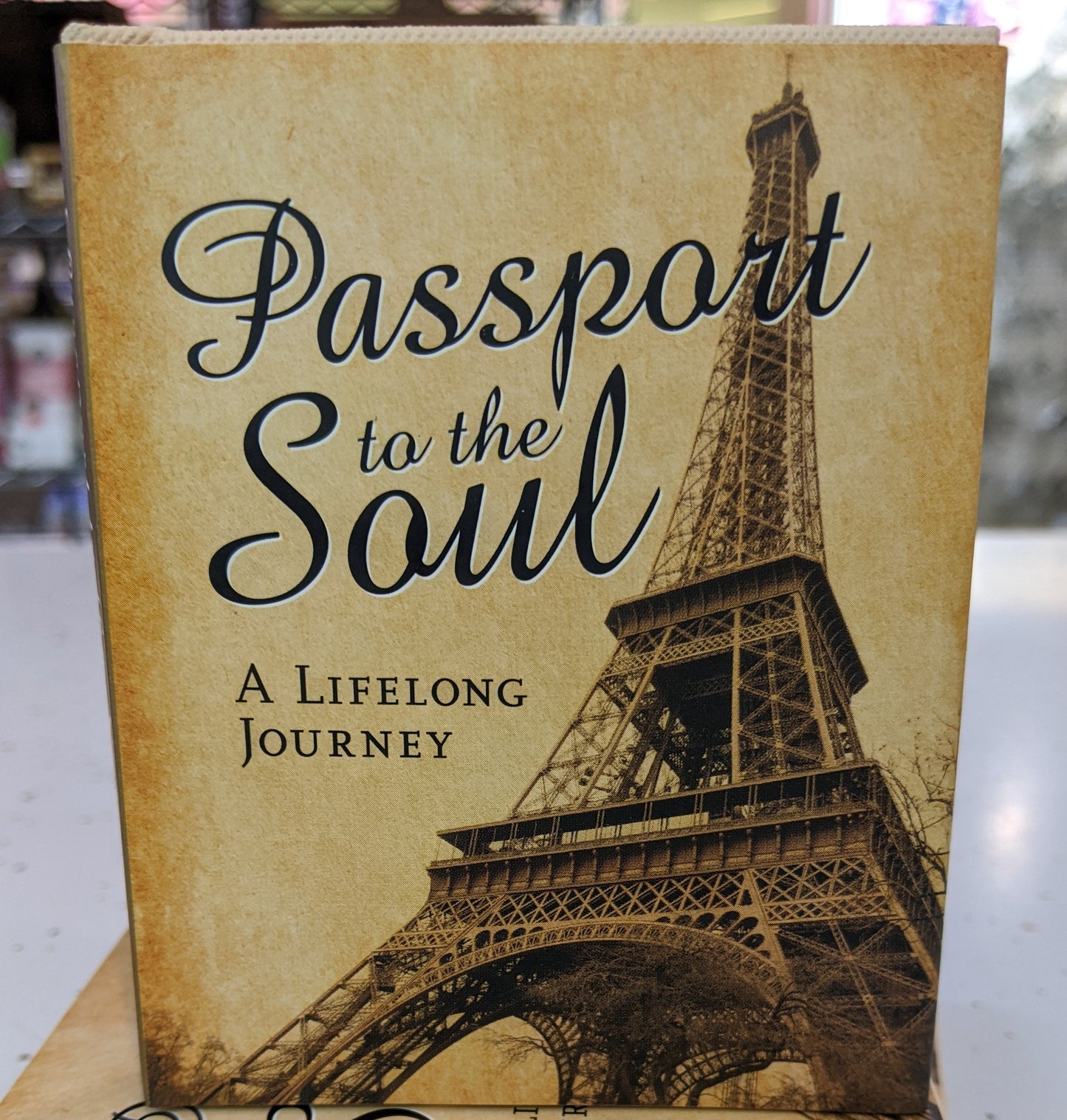 Passport To The Soul - mini book