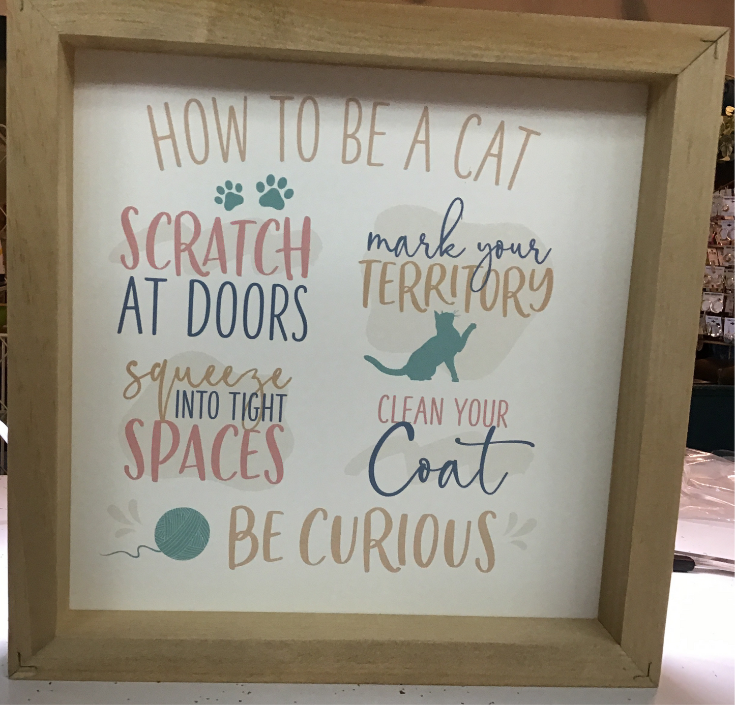 How to be a Cat