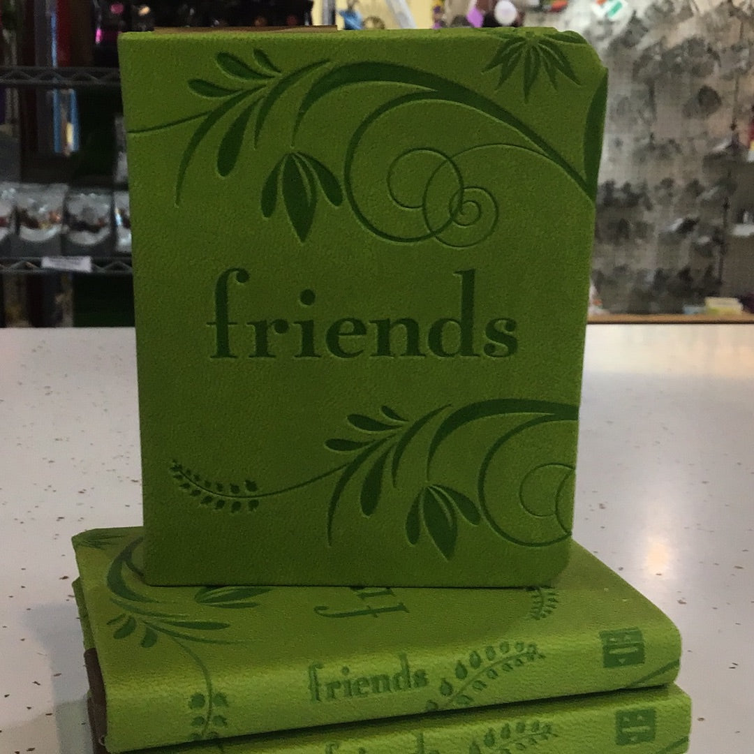 Friends - mini book