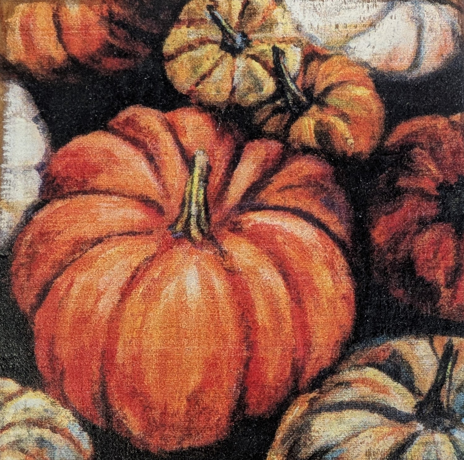 Cozy Fall Favorites