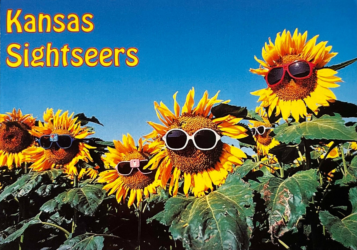 Kansas Sightseers Magnet