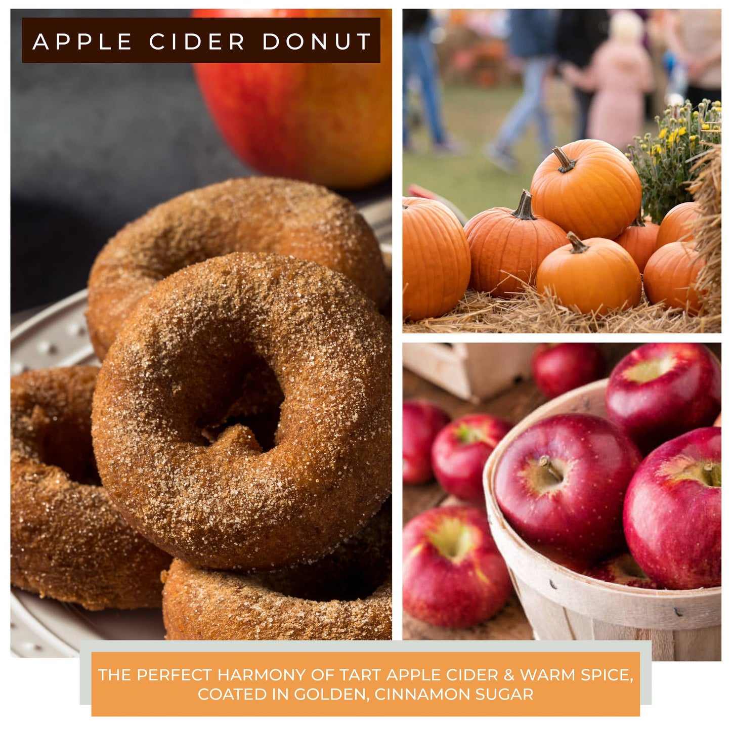 Cheerful Giver Papa Candle (34oz.) – Apple Cider Donut