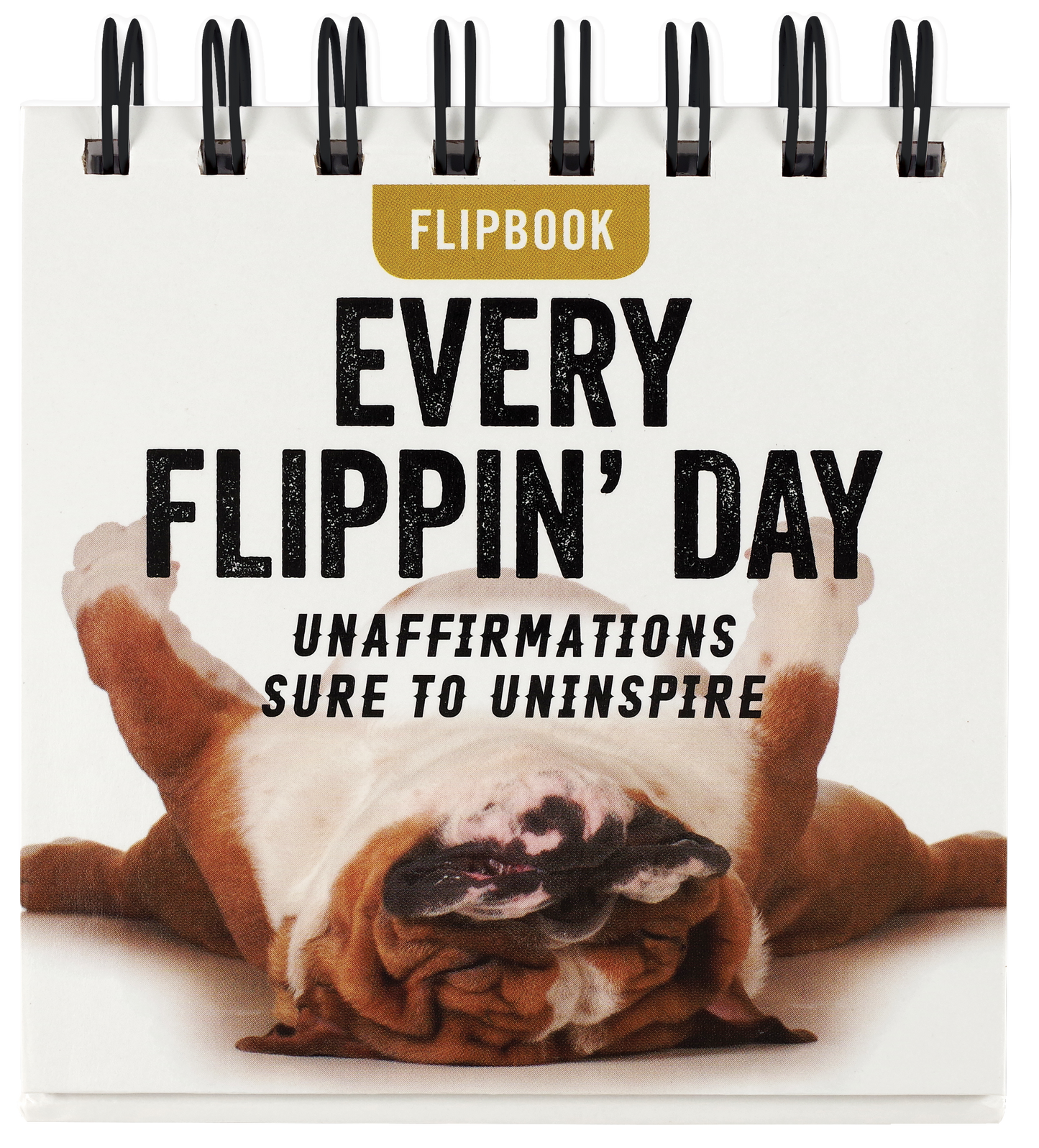 Every Flipping Day Desktop Flipbook