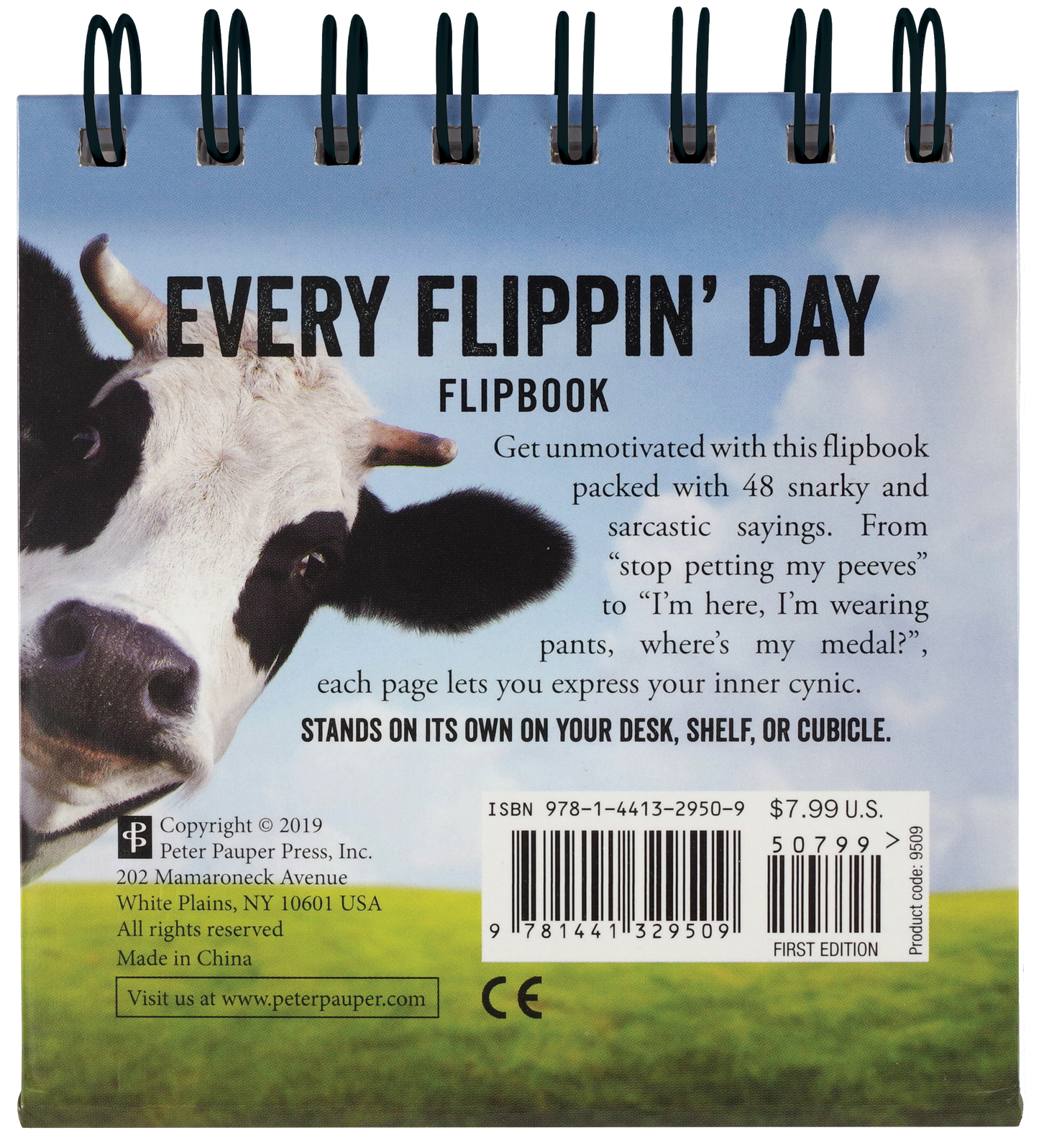 Every Flipping Day Desktop Flipbook