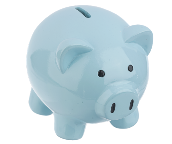 Baby Ganz Ceramic Piggy Bank (Pink or Blue)