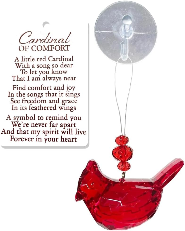 Cardinal of Comfort