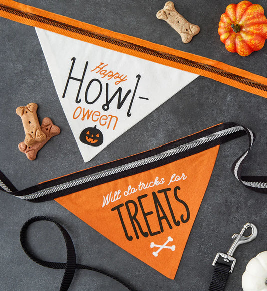 HOWL-OWEEN Pet Bandana