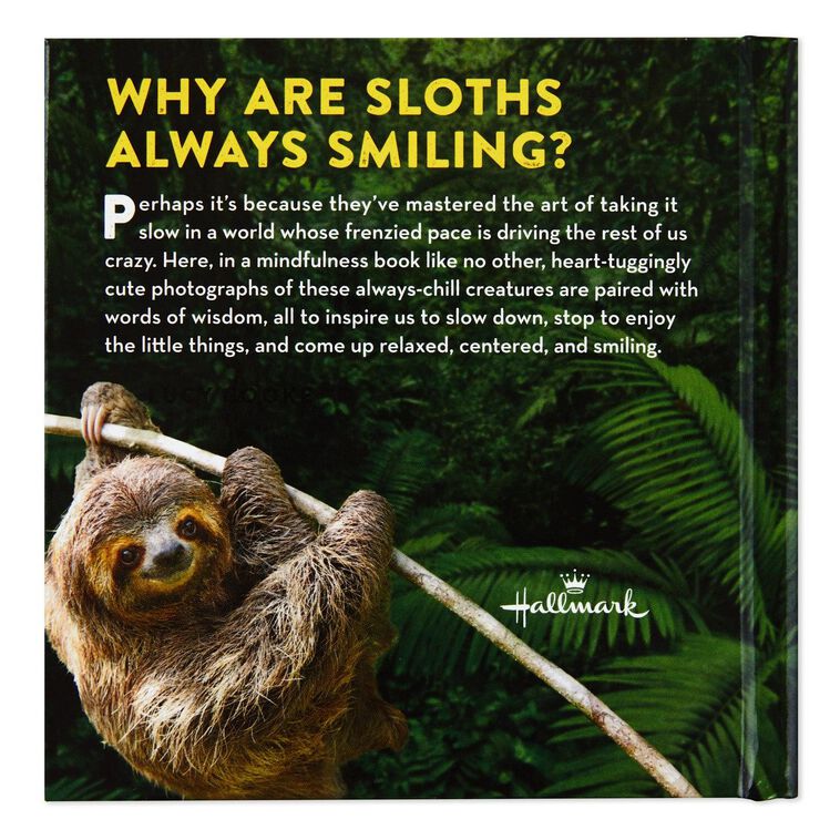 Life in the Sloth Lane: Slow Down and Smell the Hibiscus