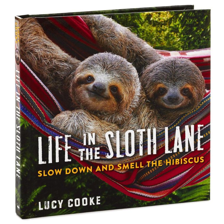 Life in the Sloth Lane: Slow Down and Smell the Hibiscus