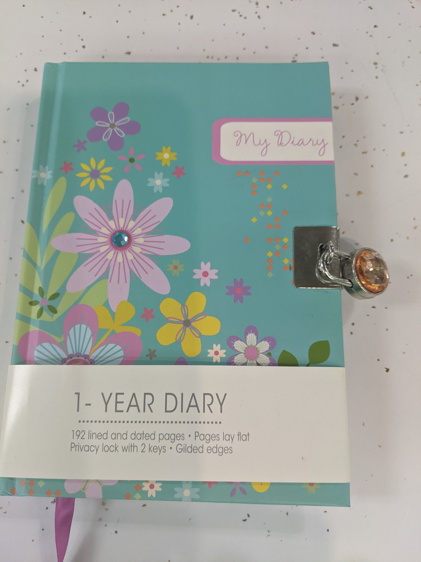 One year Diary