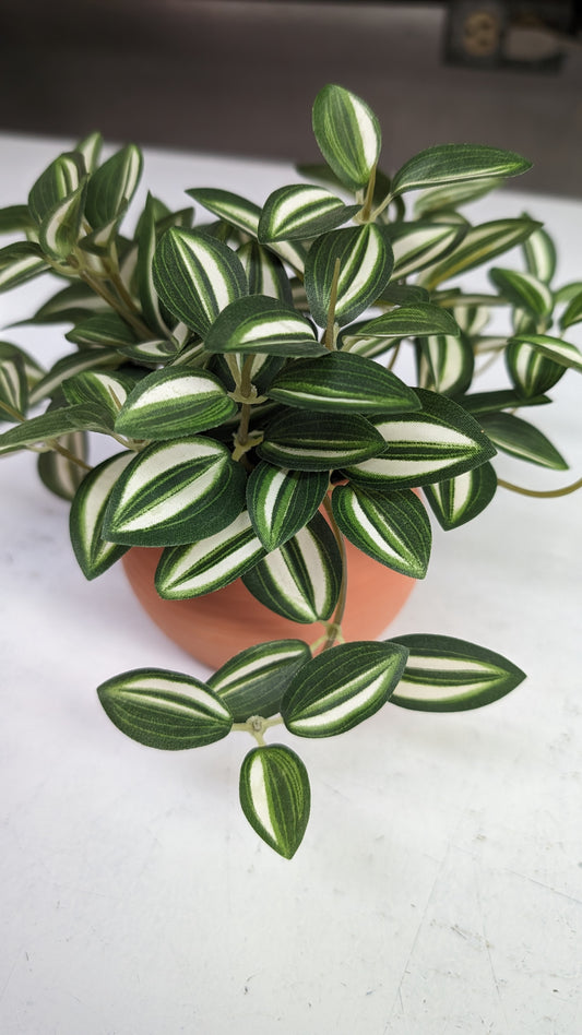 7" H Potted Trailing Greenery