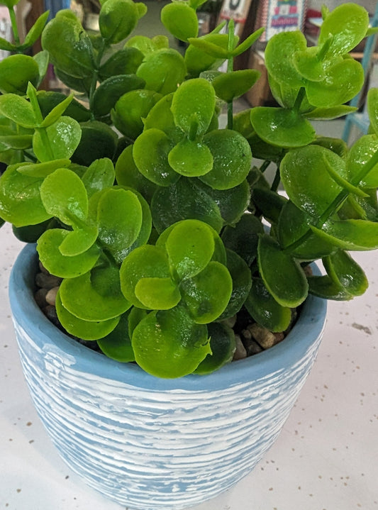 7” Ceramic Potted Greenery