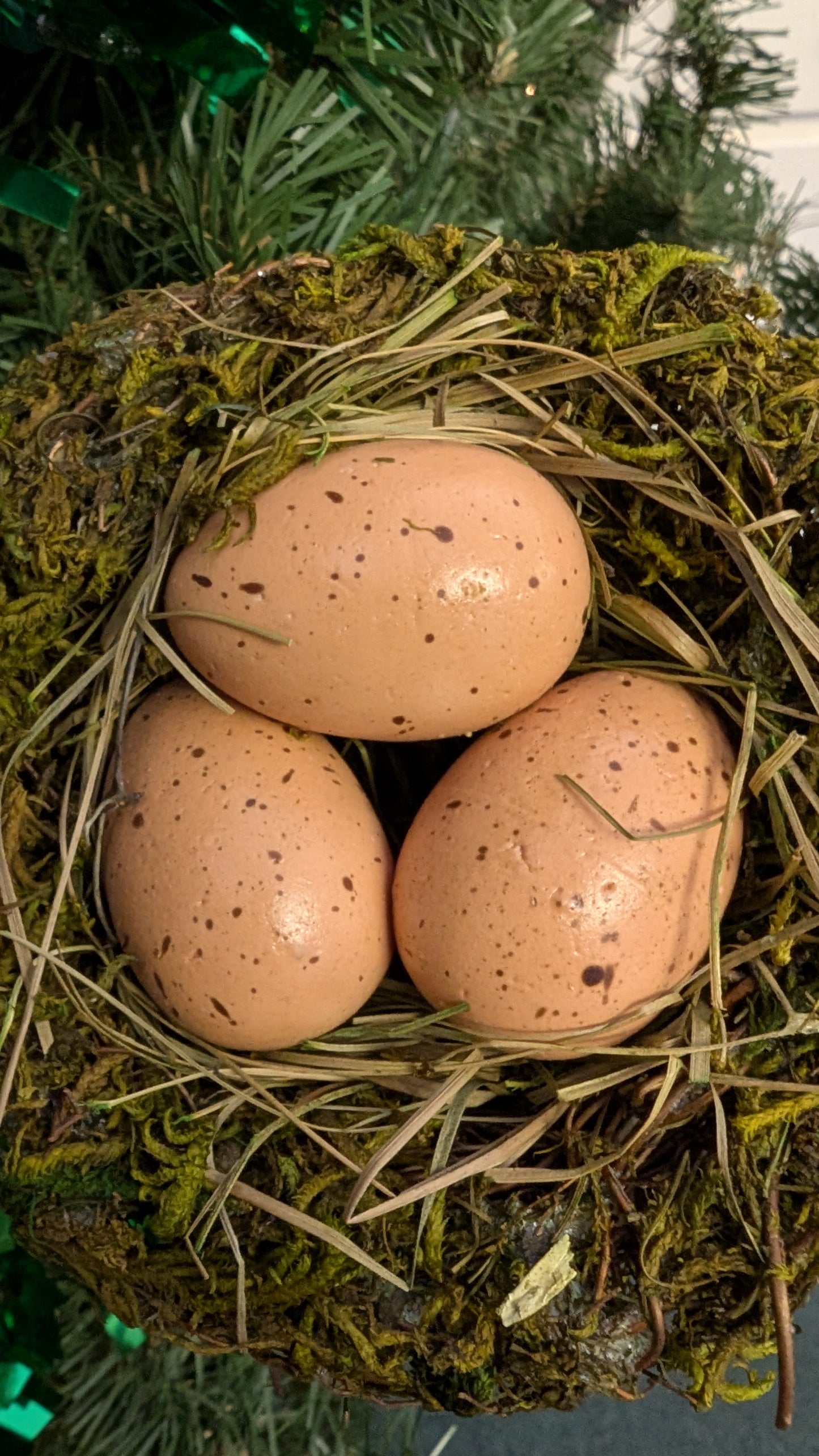 4" Bird Nest with 3 eggs