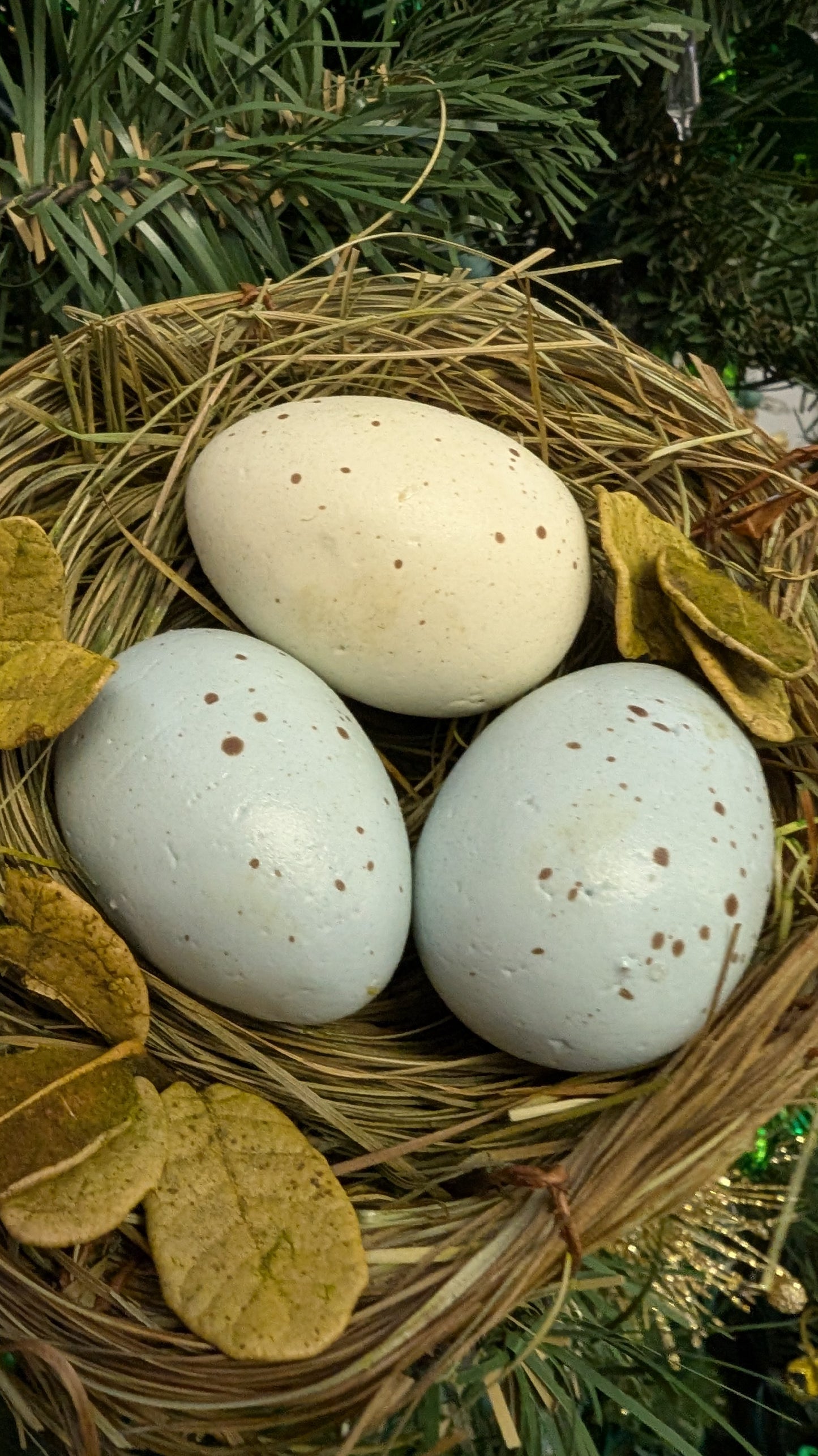 4" Bird Nest with 3 eggs