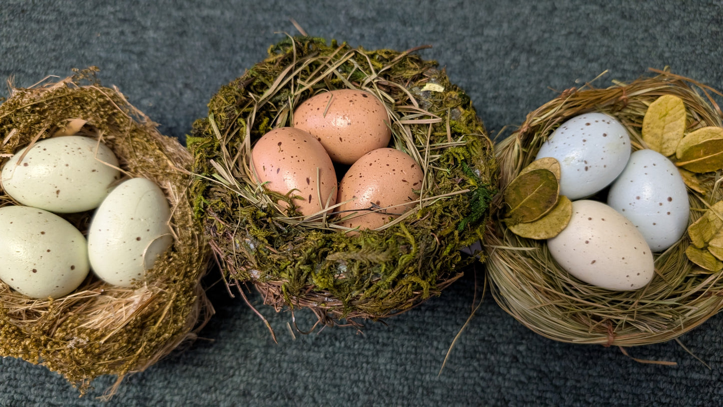 4" Bird Nest with 3 eggs