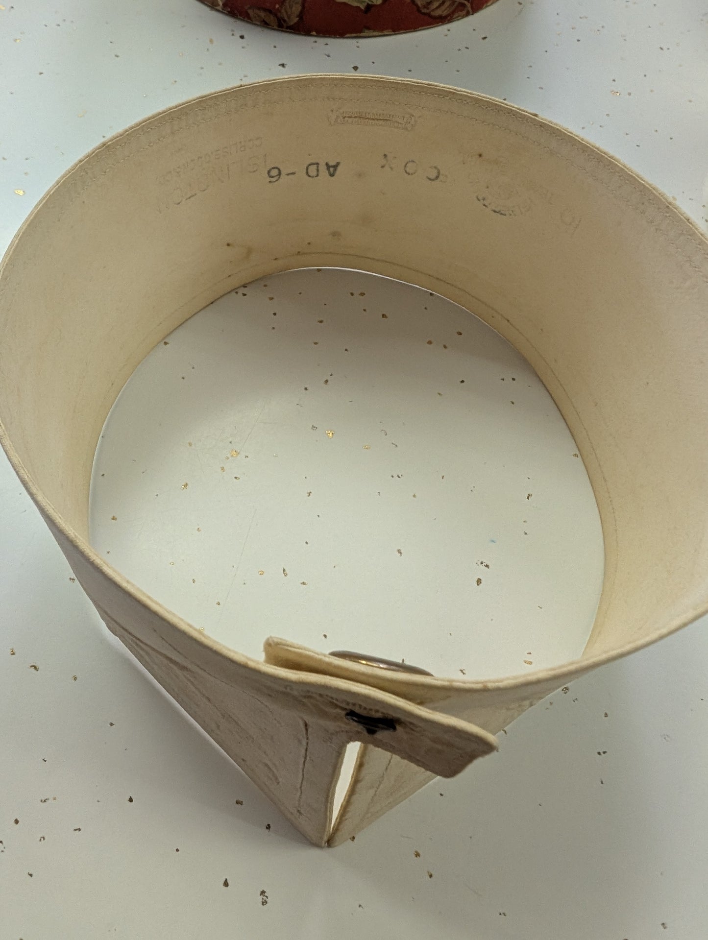 Antique 1900s Celluloid Collar Stay Box with Collars