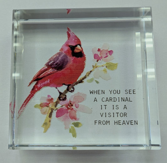 When You See a Cardinal It Is A Visitor From Heaven - Block Talk