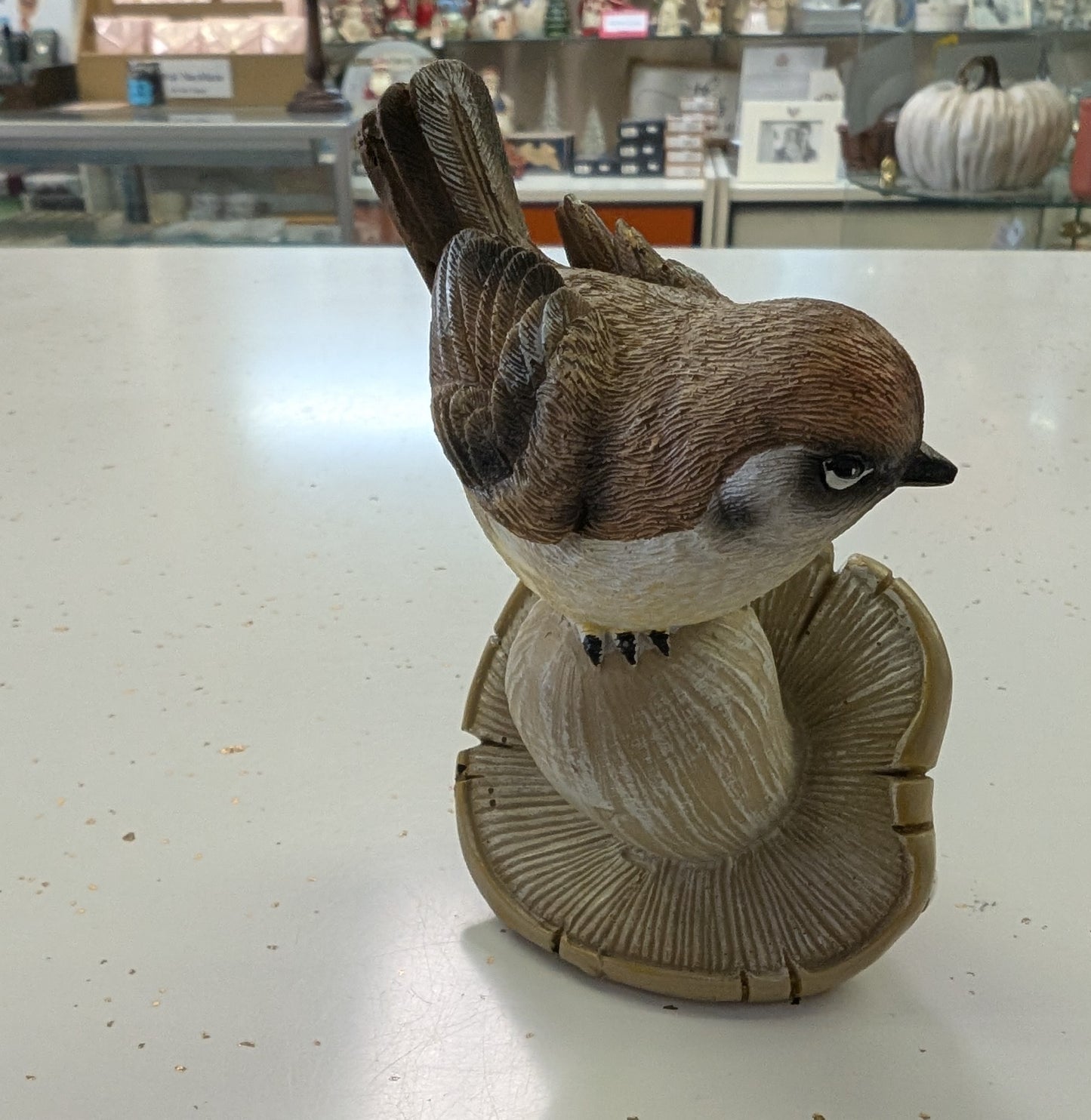 Harvest Mushroom with Bird