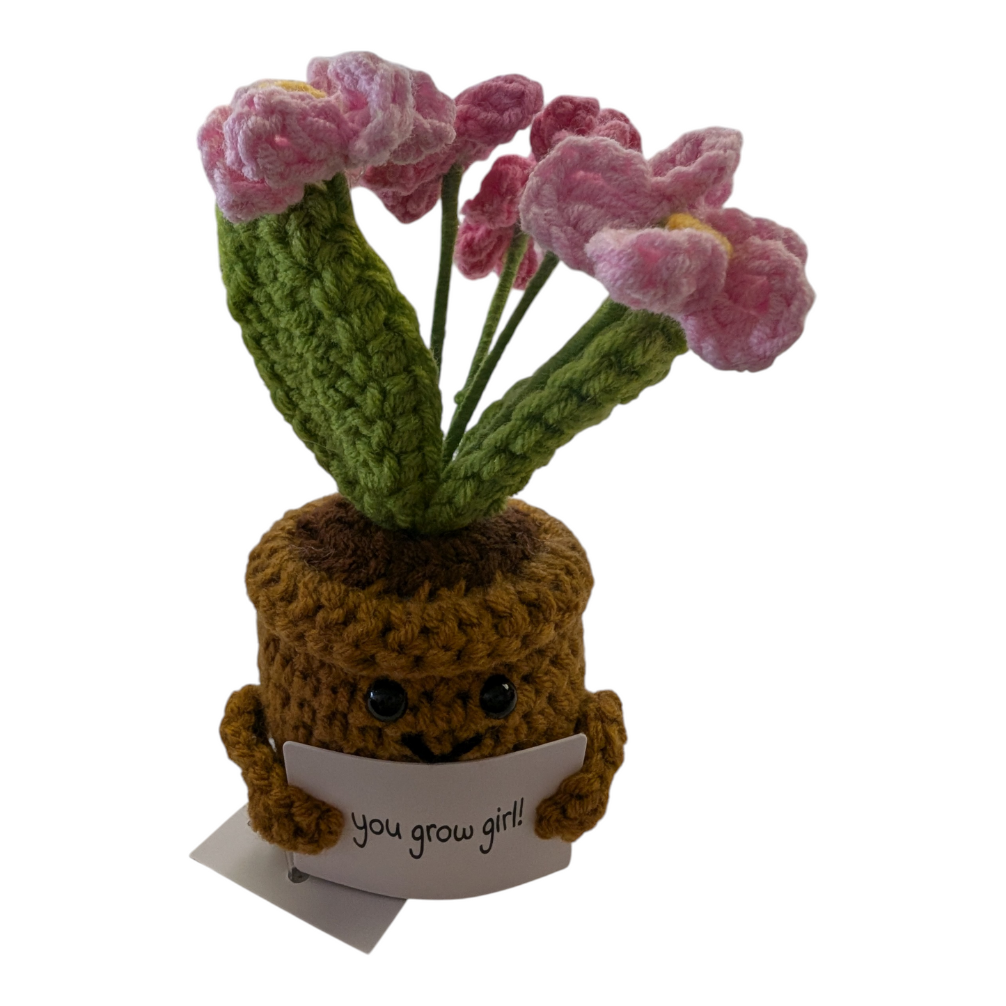 Crochet Flowerpot with Flowers — 3 Styles