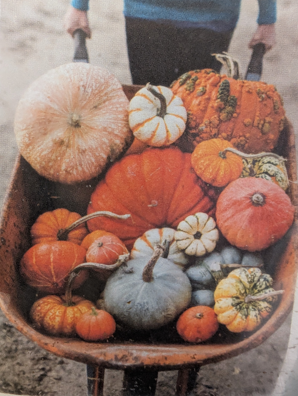 Harvest Pumpkin Room Spray by Bridgewater