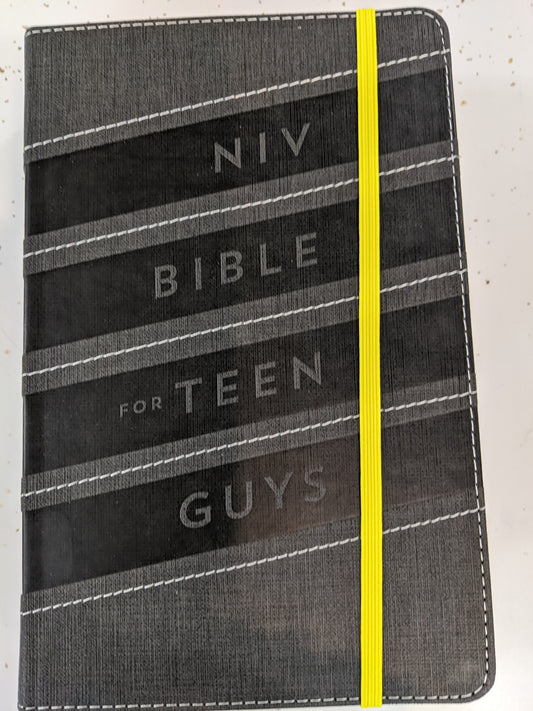 NIV Bible for Teen Guys