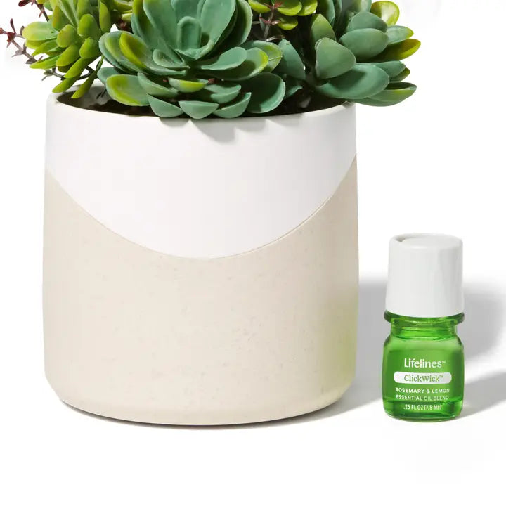 Lifelines Succulent Diffuser – Faux Plant Aroma Diffuser