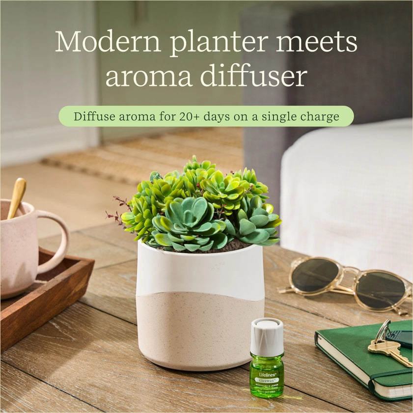 Lifelines Succulent Diffuser – Faux Plant Aroma Diffuser