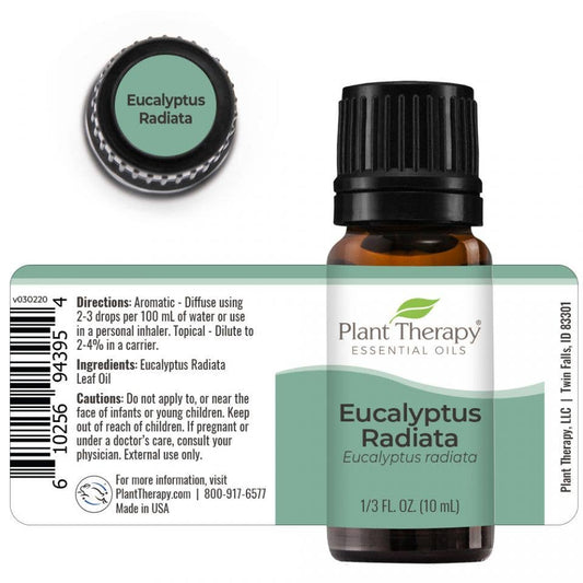 Eucalyptus Radiata Essential Oil 10 mL