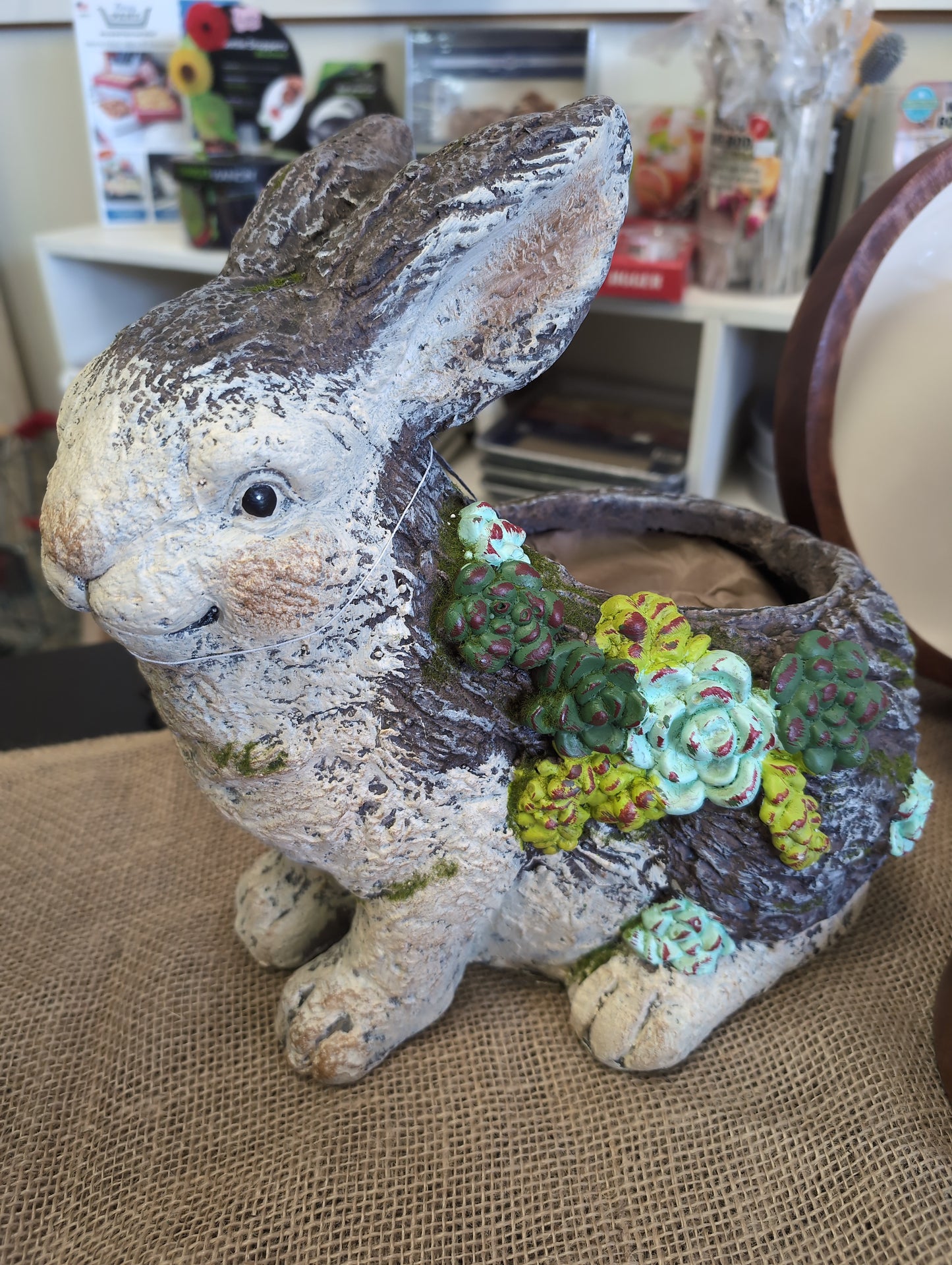 Robbie the Rabbit Planter | Spring Décor |