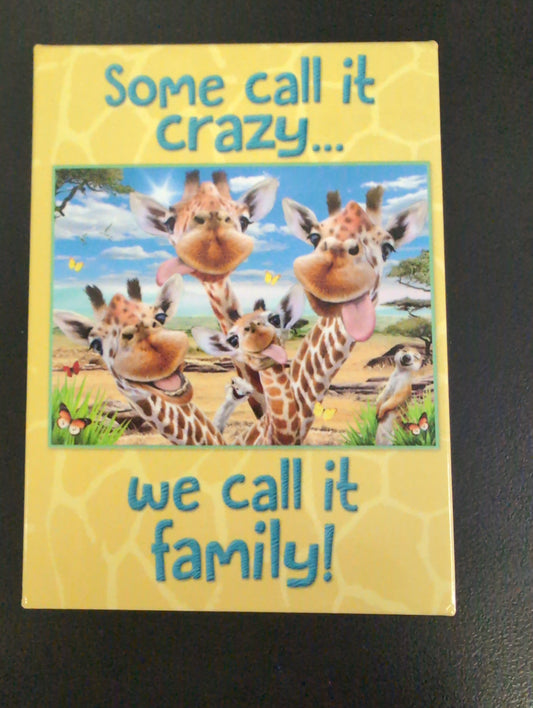 Magnet - Some Call It Crazy - Family