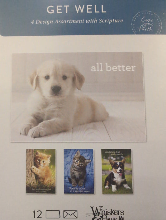 Get Well Boxed Cards - Whiskers & Paws