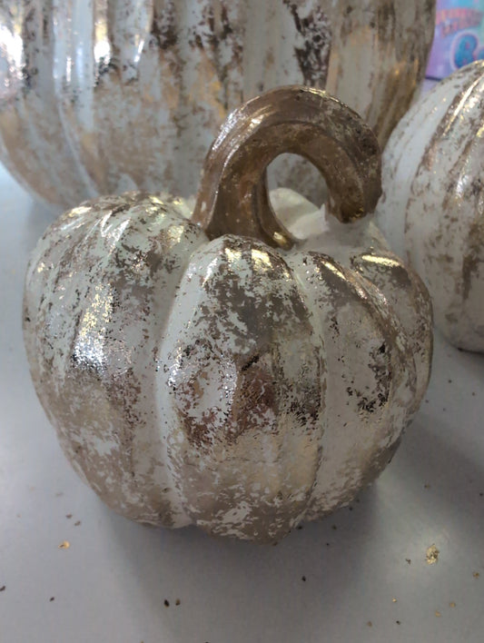 Cream with Gold Harvest Pumpkins