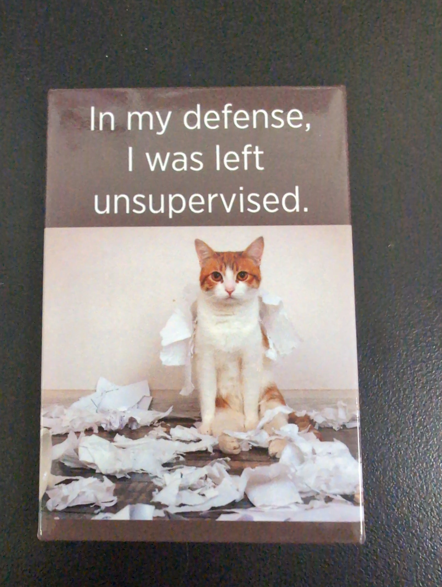 Magnet -In My Defense